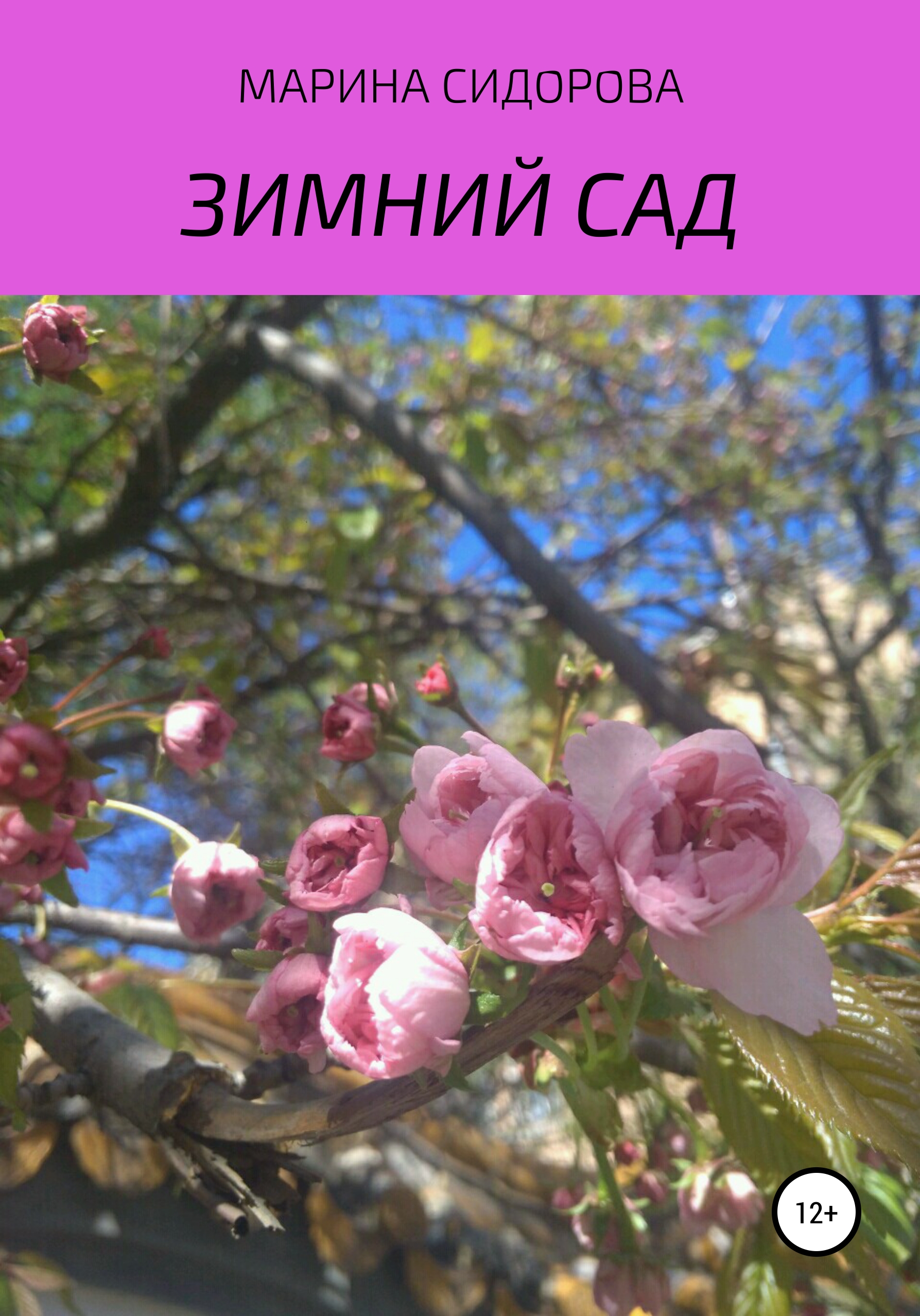 читать Зимний сад