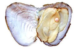 читать Слезы морской нимфы