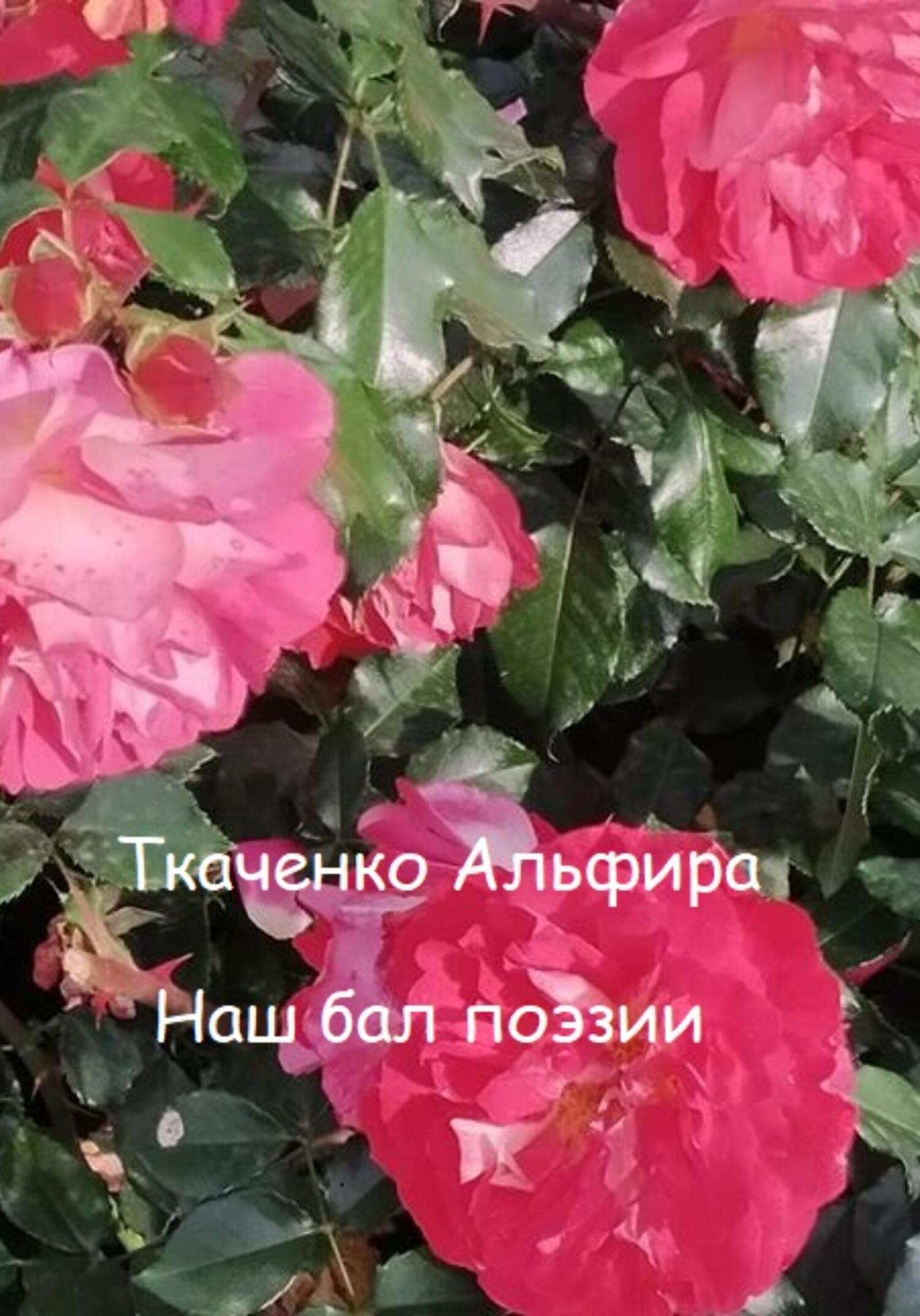 читать Наш бал поэзии