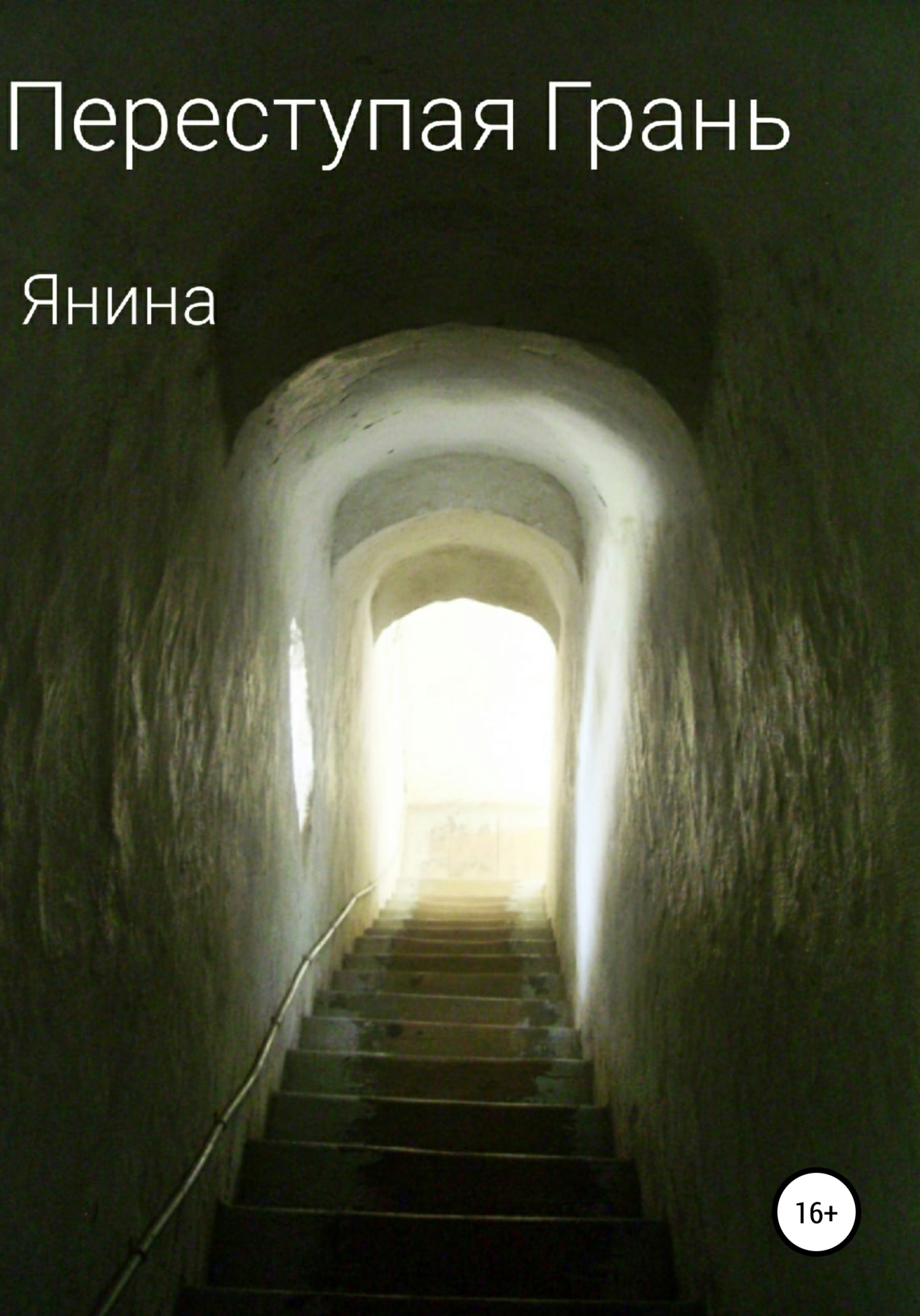 читать Переступая грань