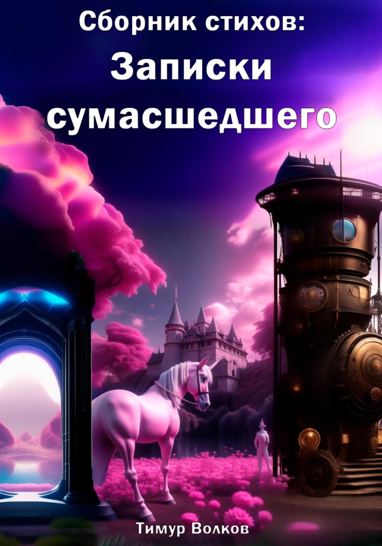 читать Сборник стихов: Записки сумасшедшего