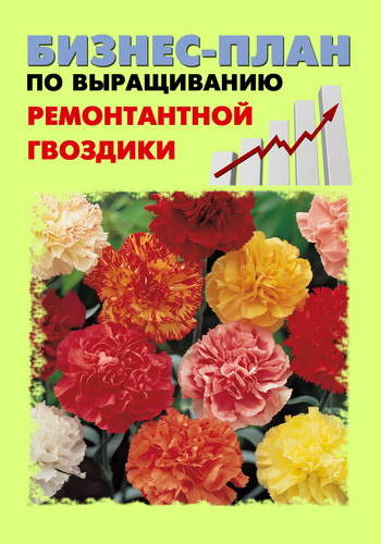 читать Бизнес-план по выращиванию ремонтантной гвоздики