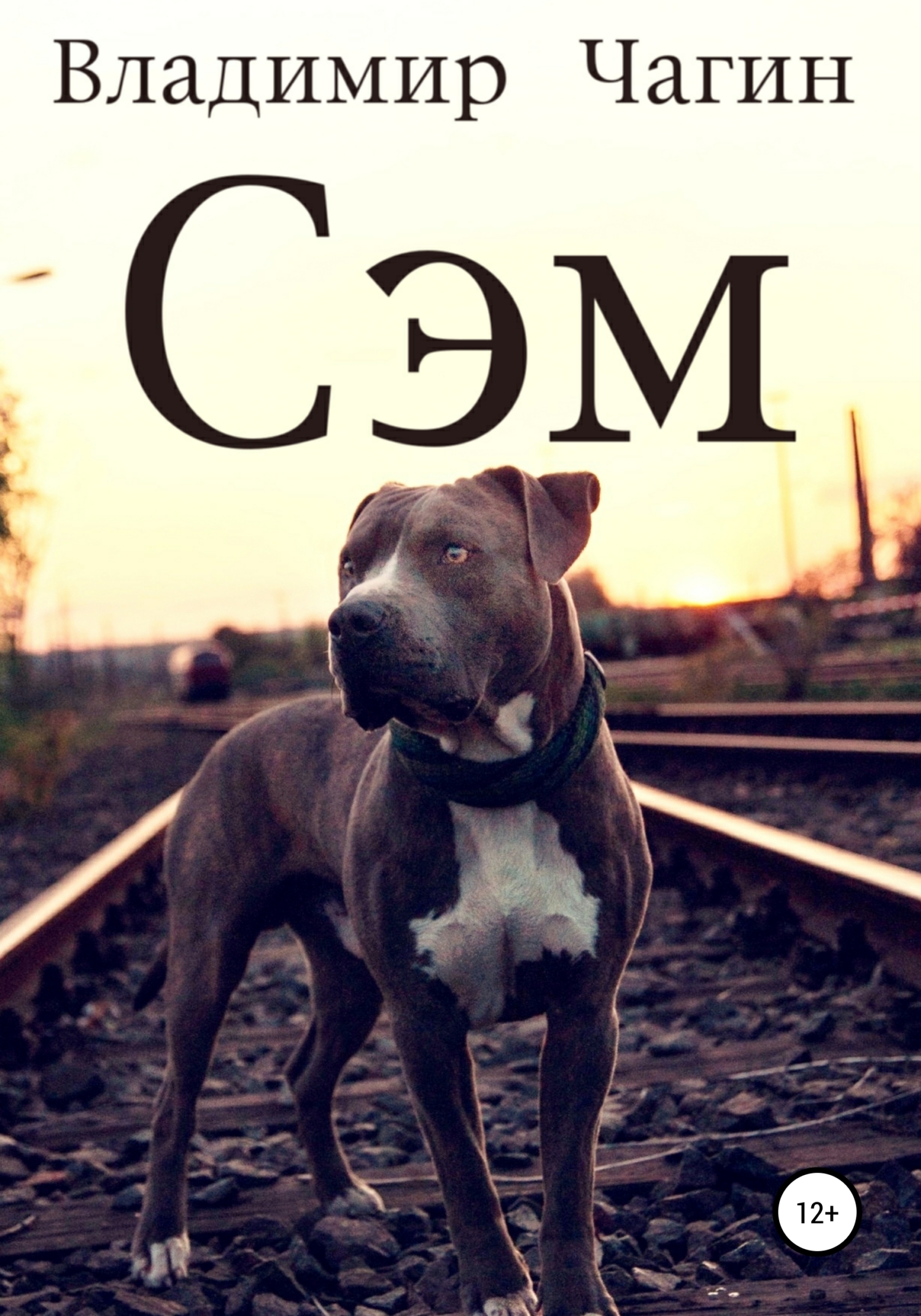 читать Сэм