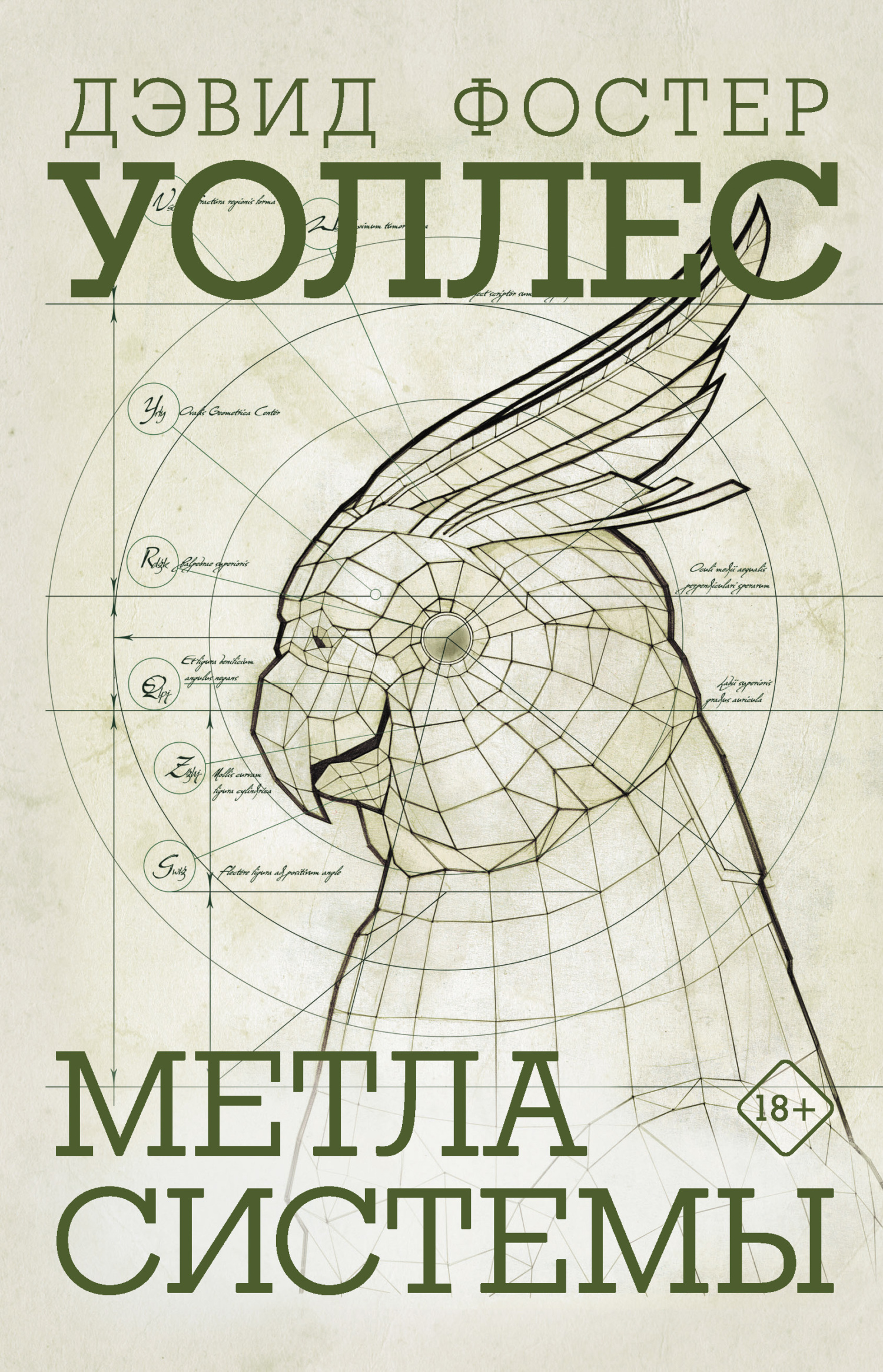 читать Метла системы