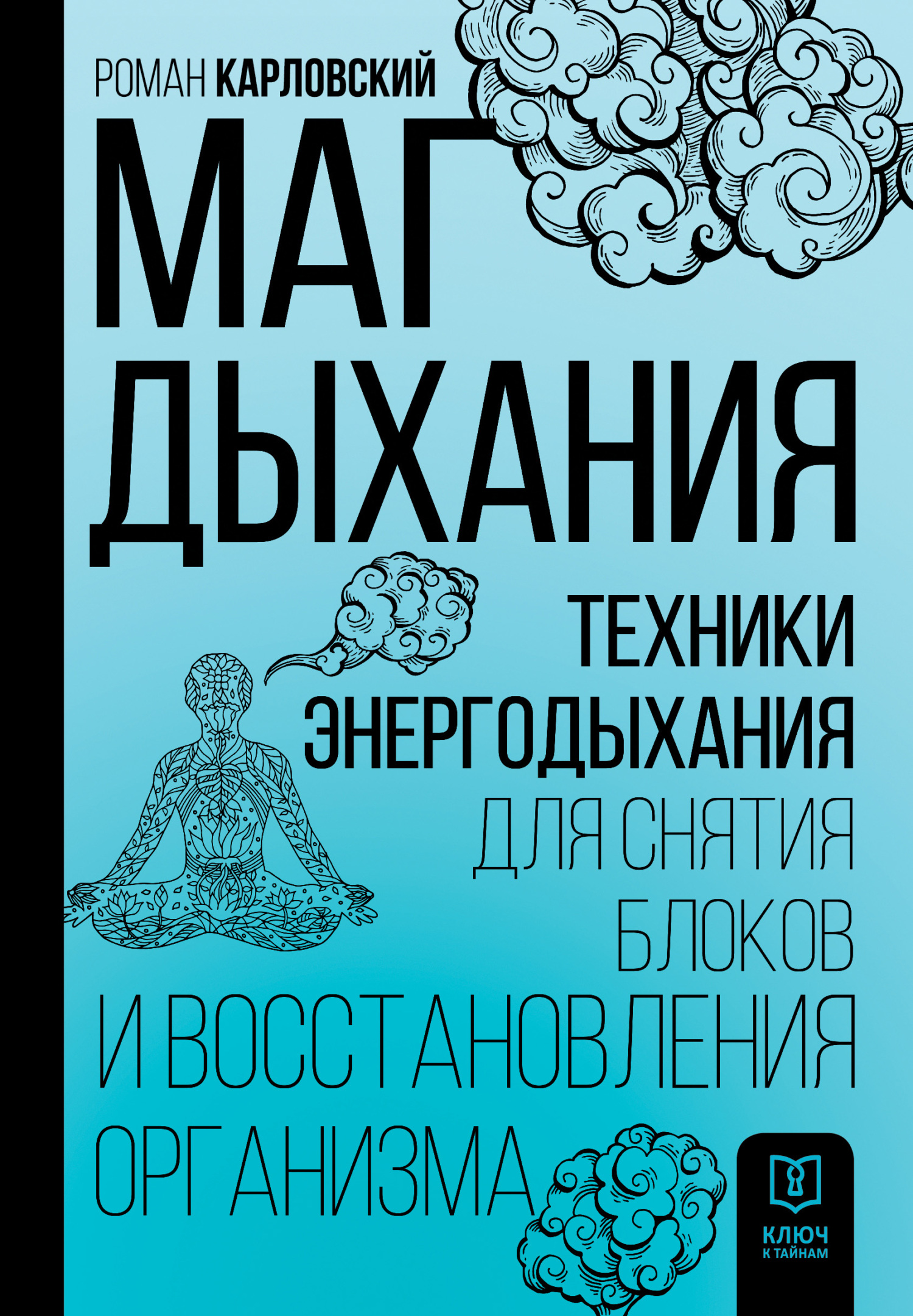 читать Маг дыхания. Техники Энергодыхания для снятия блоков и восстановления организма