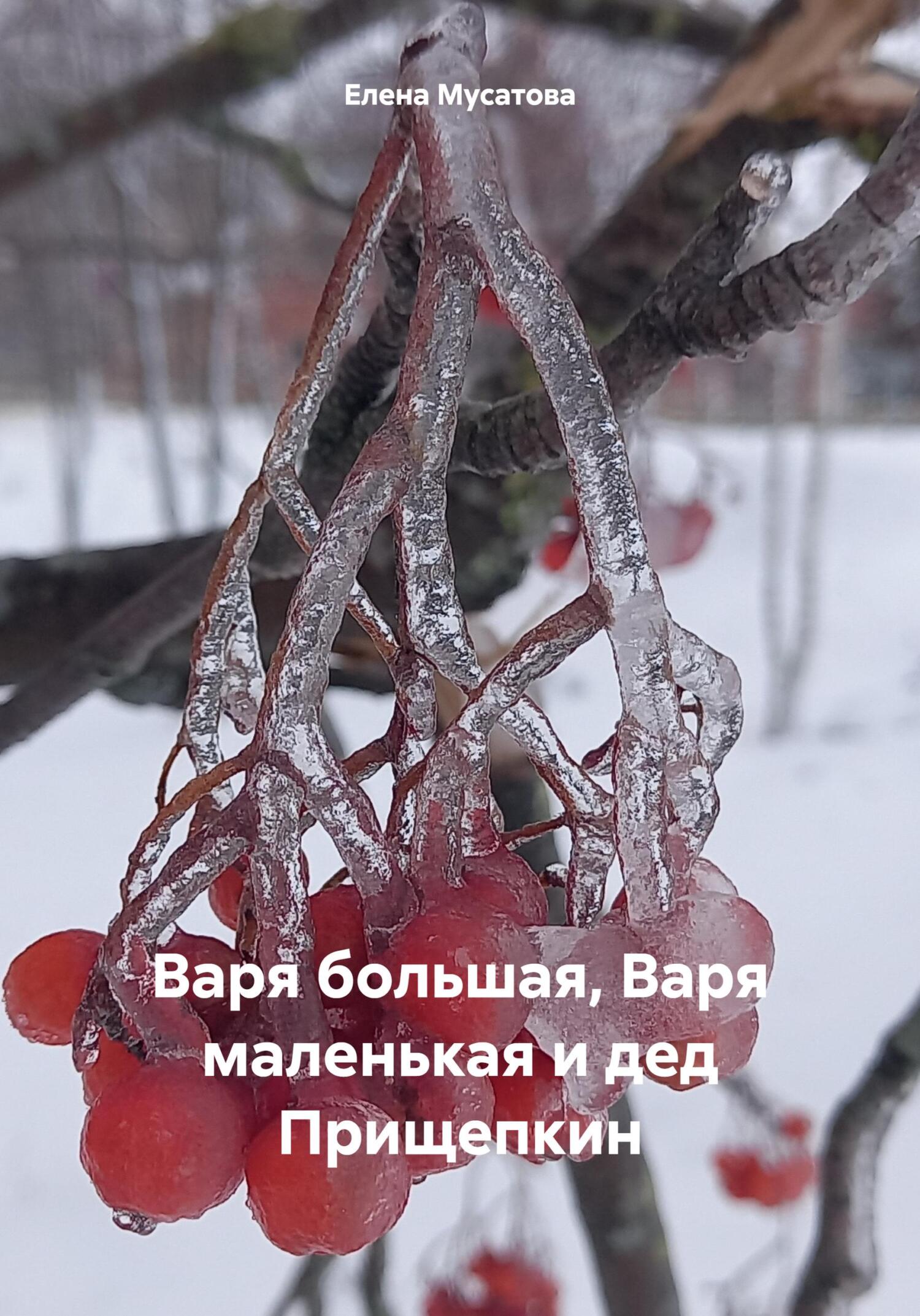 читать Варя большая, Варя маленькая и дед Прищепкин