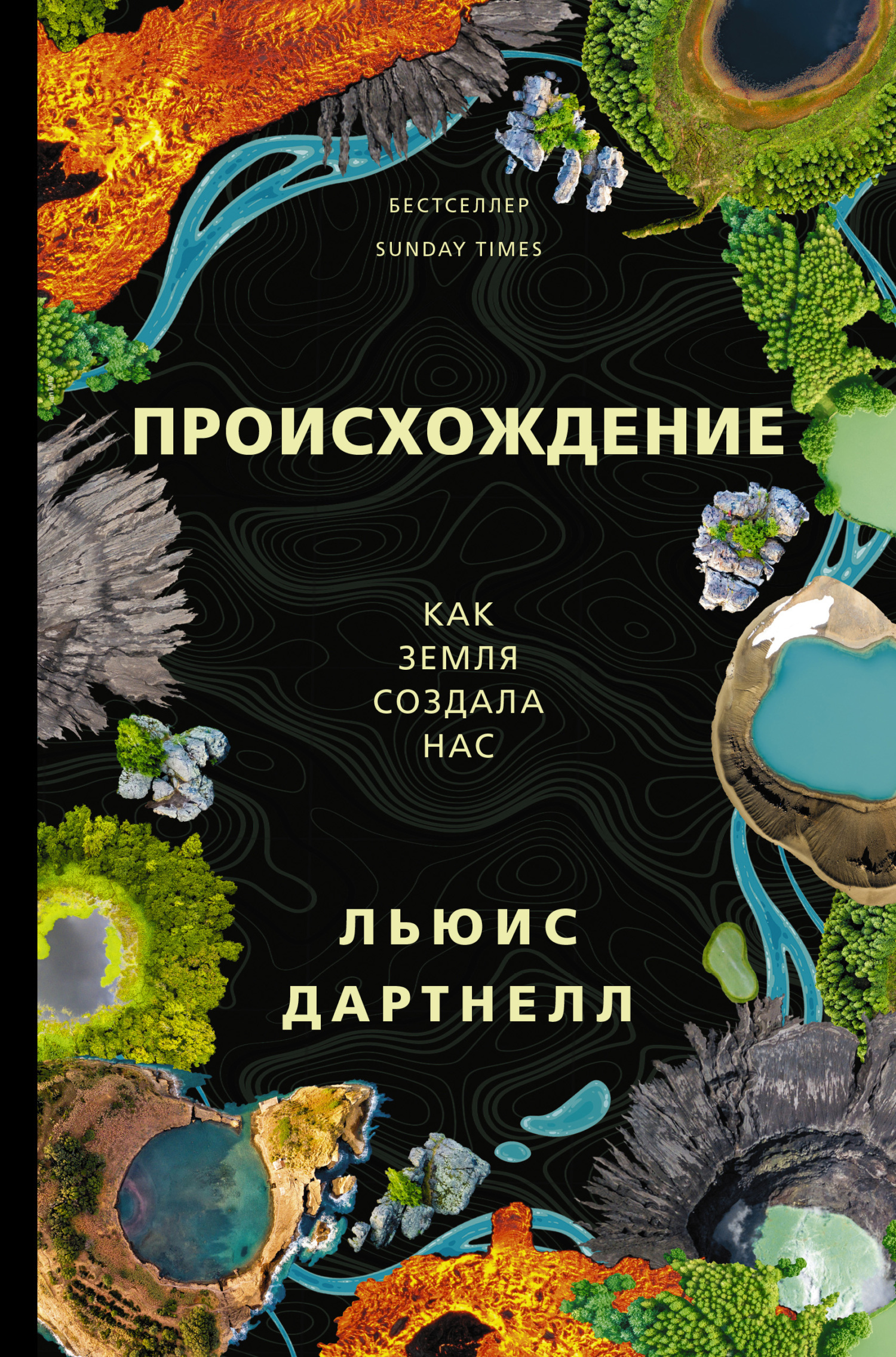 читать Происхождение. Как Земля создала нас