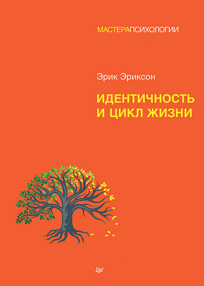 читать Идентичность и цикл жизни