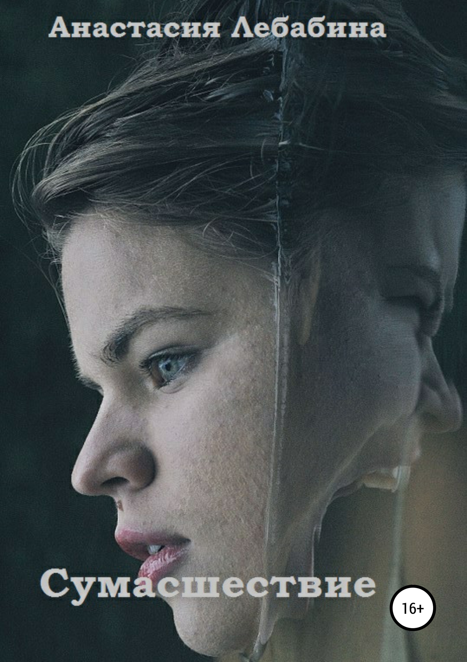 читать Сумасшествие