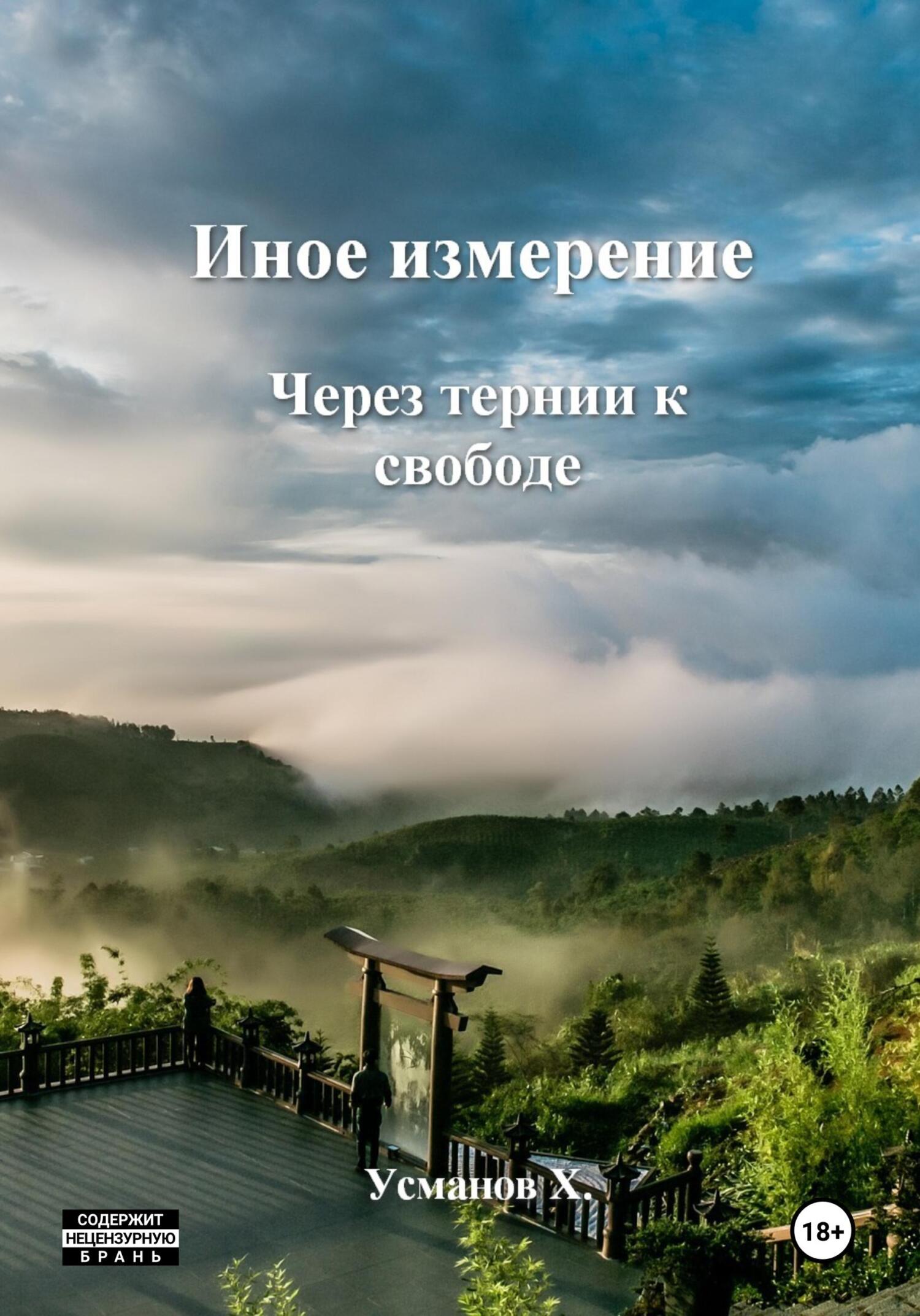 читать Иное измерение. Через тернии к свободе