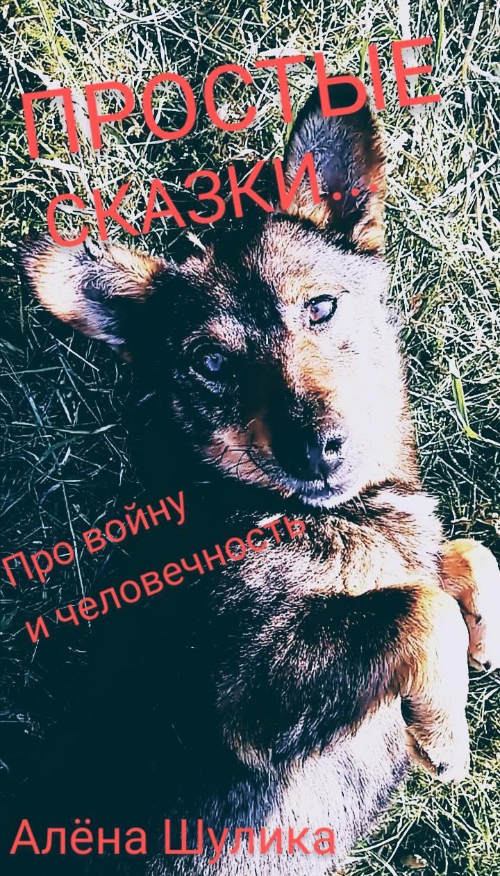 читать Я русский, моя национальность – человек. (простые сказки)