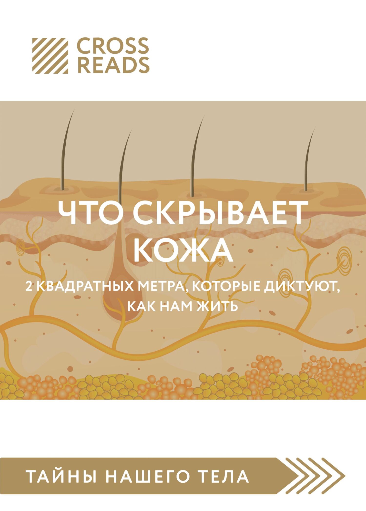читать Саммари книги «Что скрывает кожа. 2 квадратных метра, которые диктуют, как нам жить»