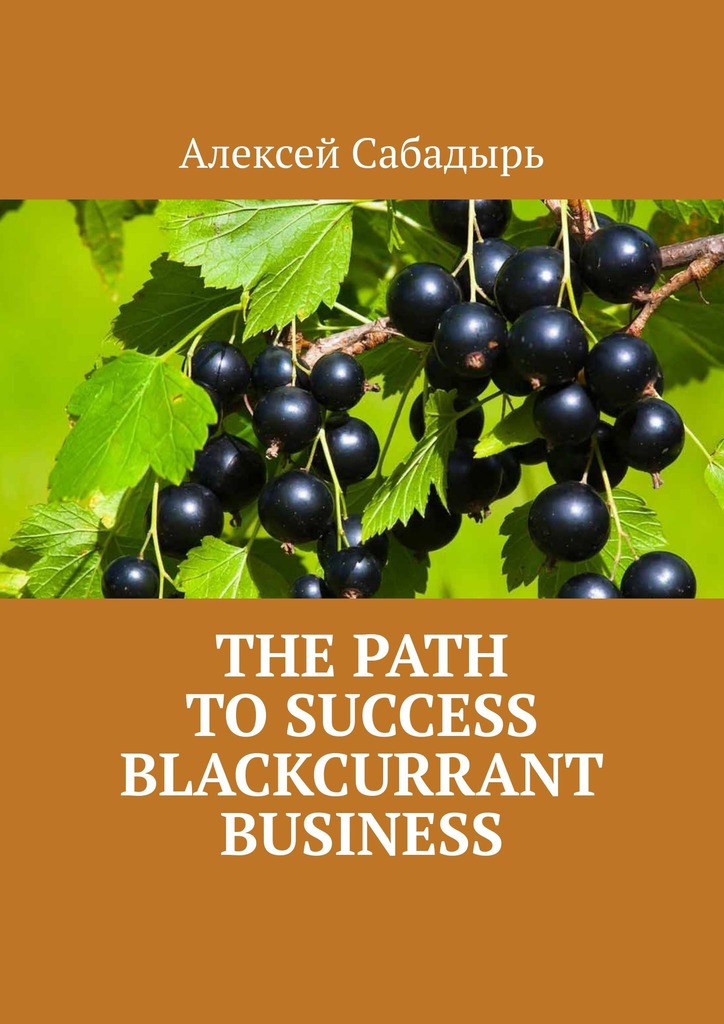 читать The path to success blackcurrant business