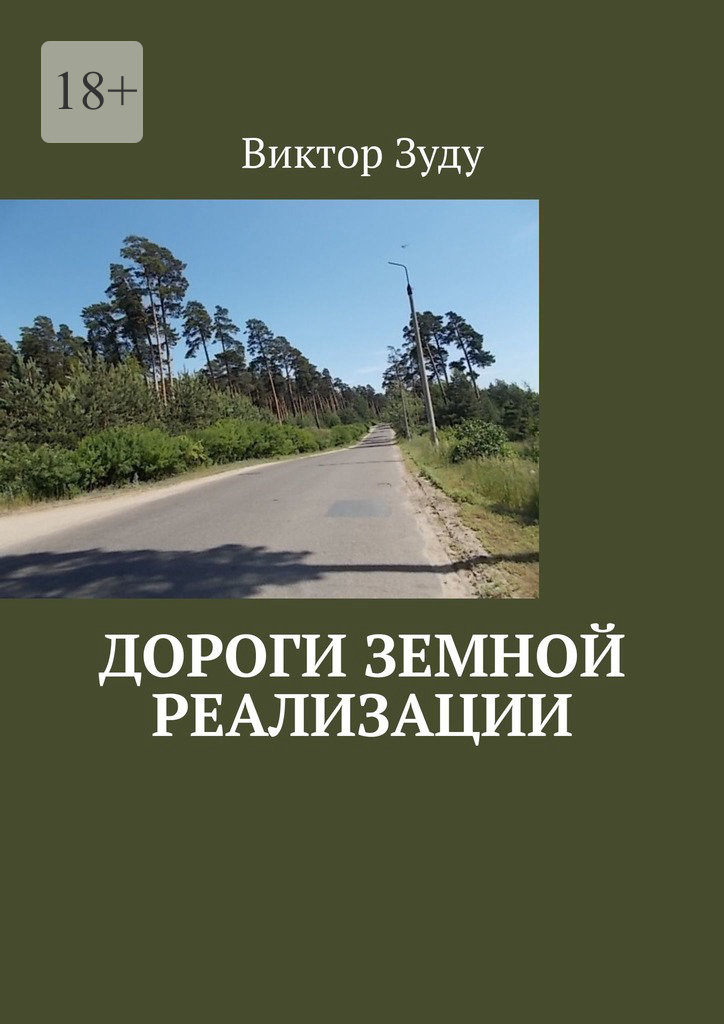 читать Дороги земной реализации