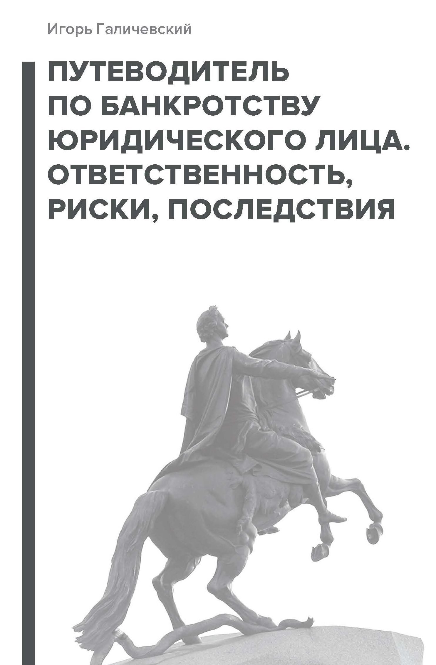 читать Путеводитель по банкротству юридического лица. Ответственность, риски, последствия