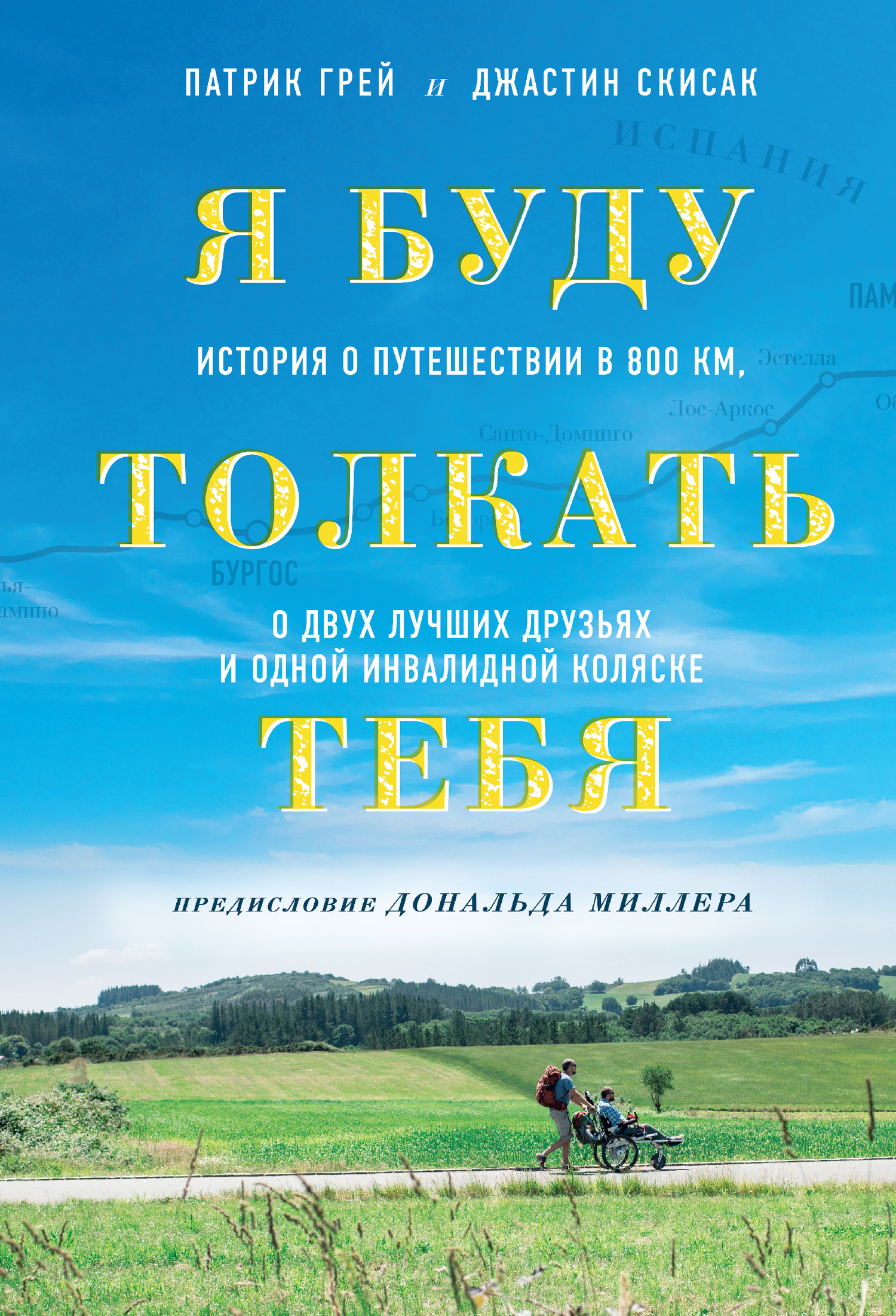 читать Я буду толкать тебя. История о путешествии в 800 км, о двух лучших друзьях и одной инвалидной коляске