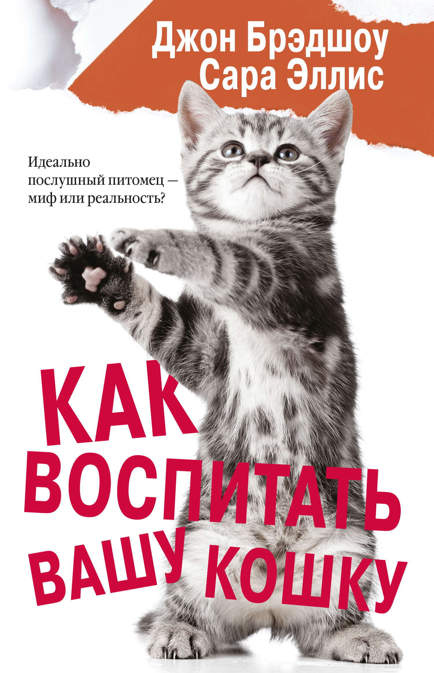 читать Как воспитать вашу кошку
