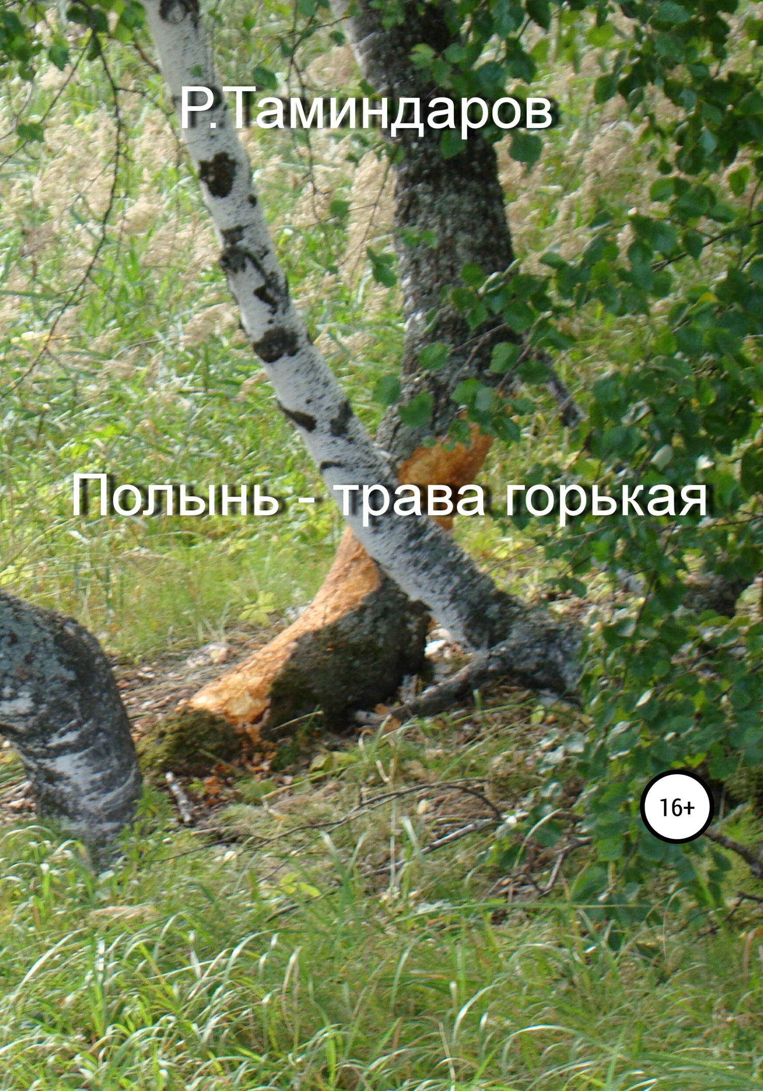 читать Полынь – трава горькая