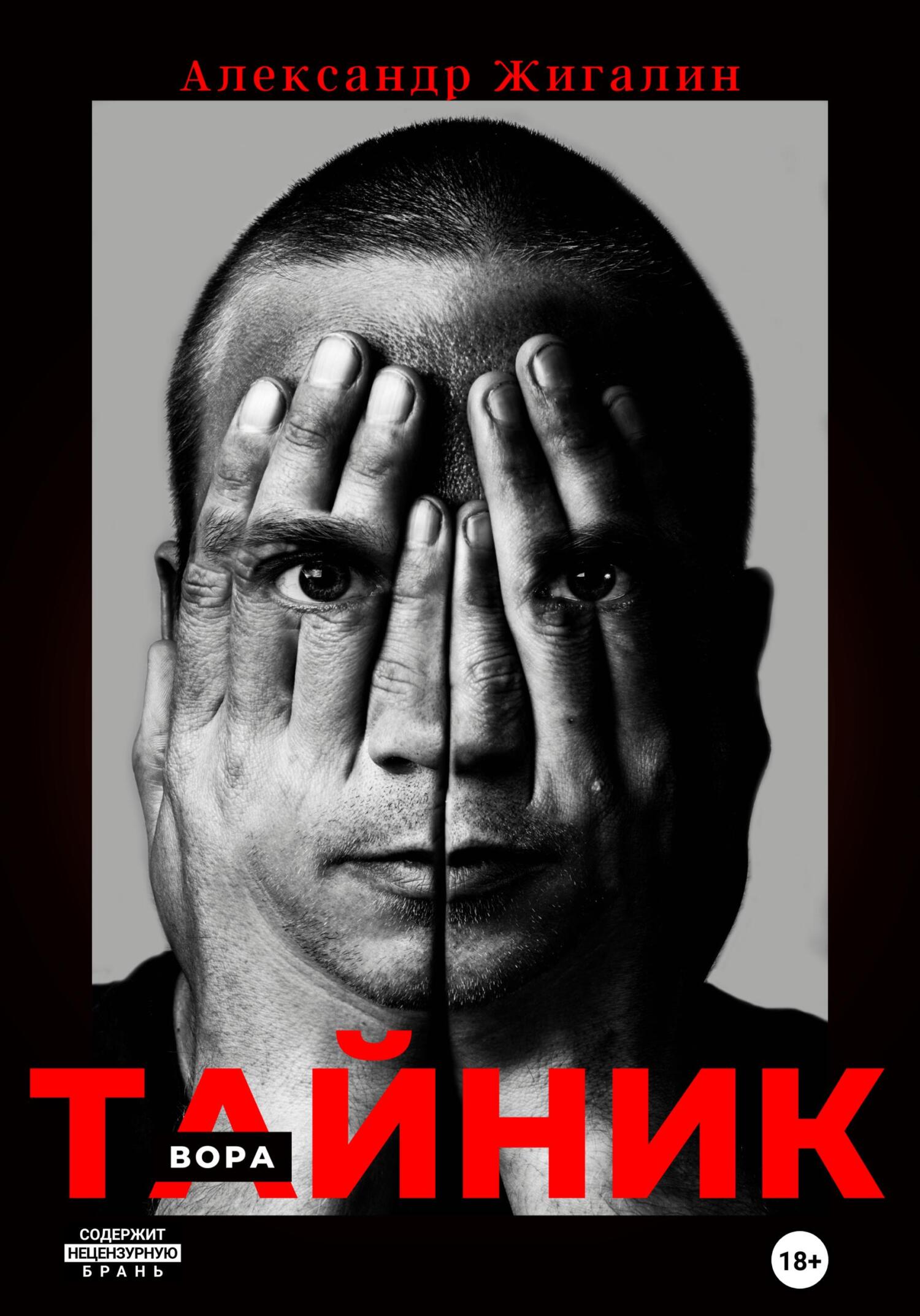 читать Тайник вора