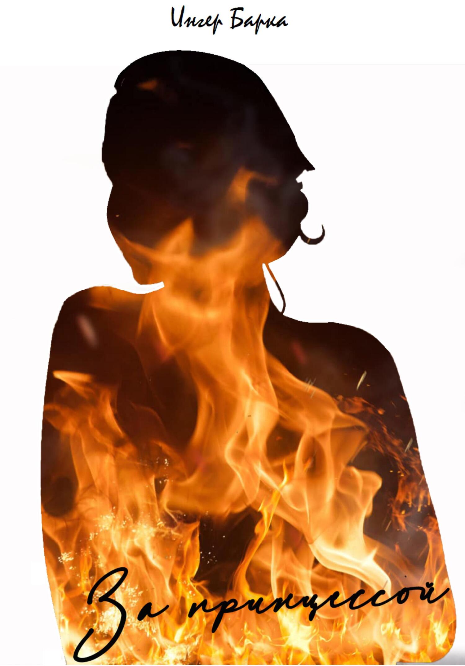 читать За принцессой