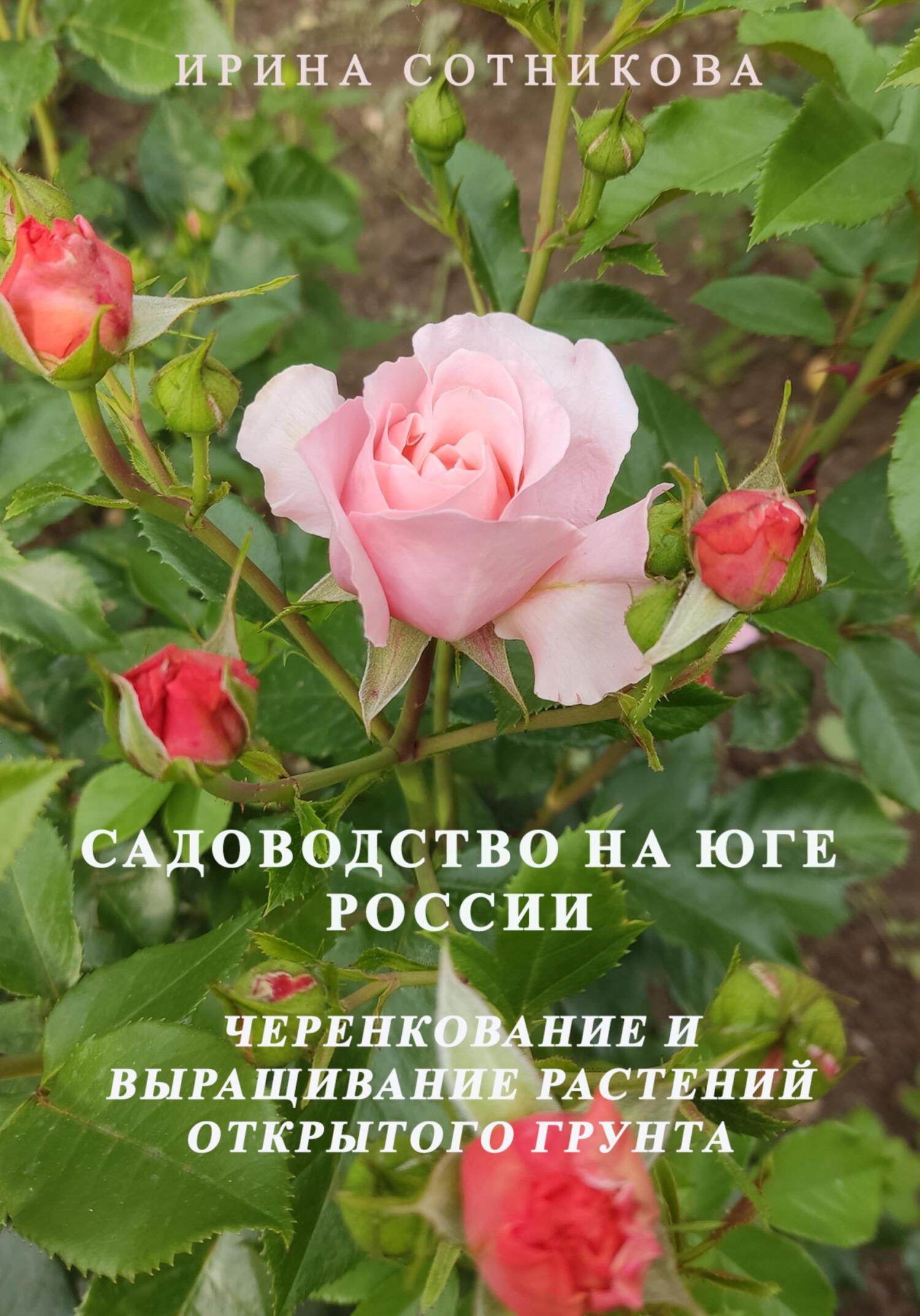 читать Садоводство на юге России. Черенкование и выращивание декоративных растений открытого грунта