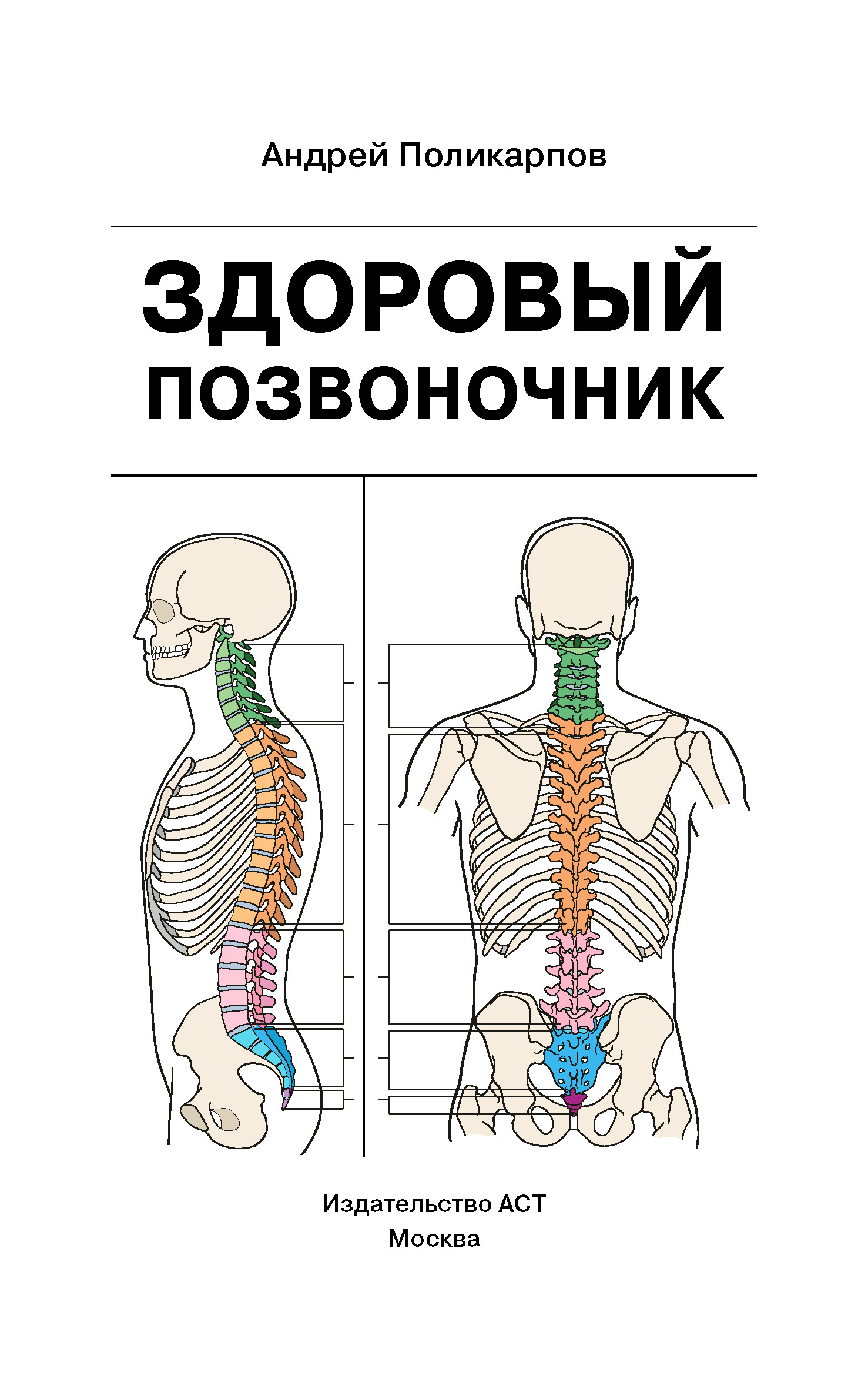 читать Здоровый позвоночник