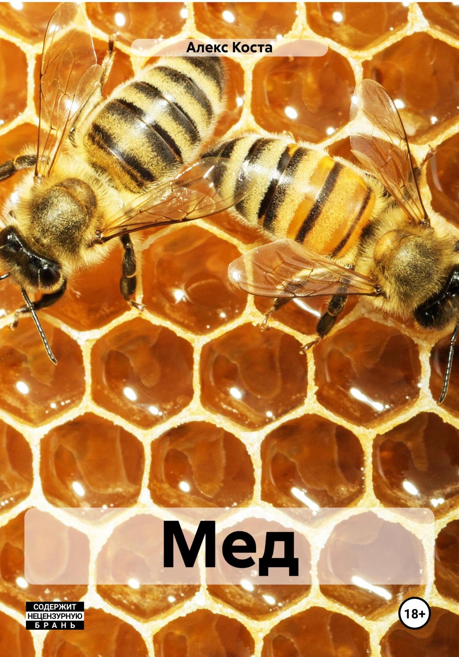 читать Мед