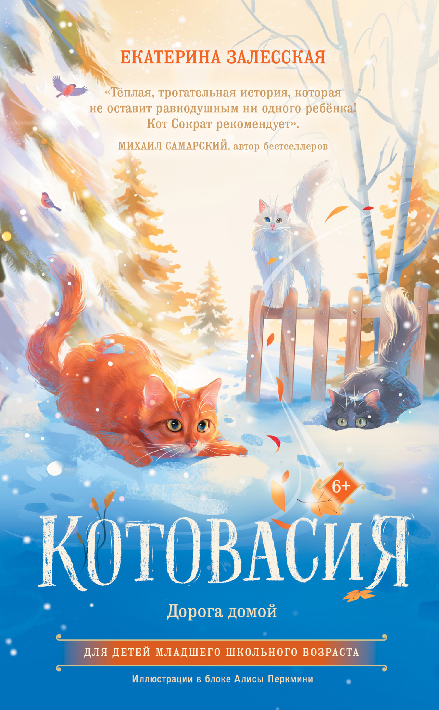 читать Котовасия. Дорога домой