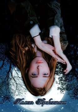 читать Камень Трокентана. Книга 1