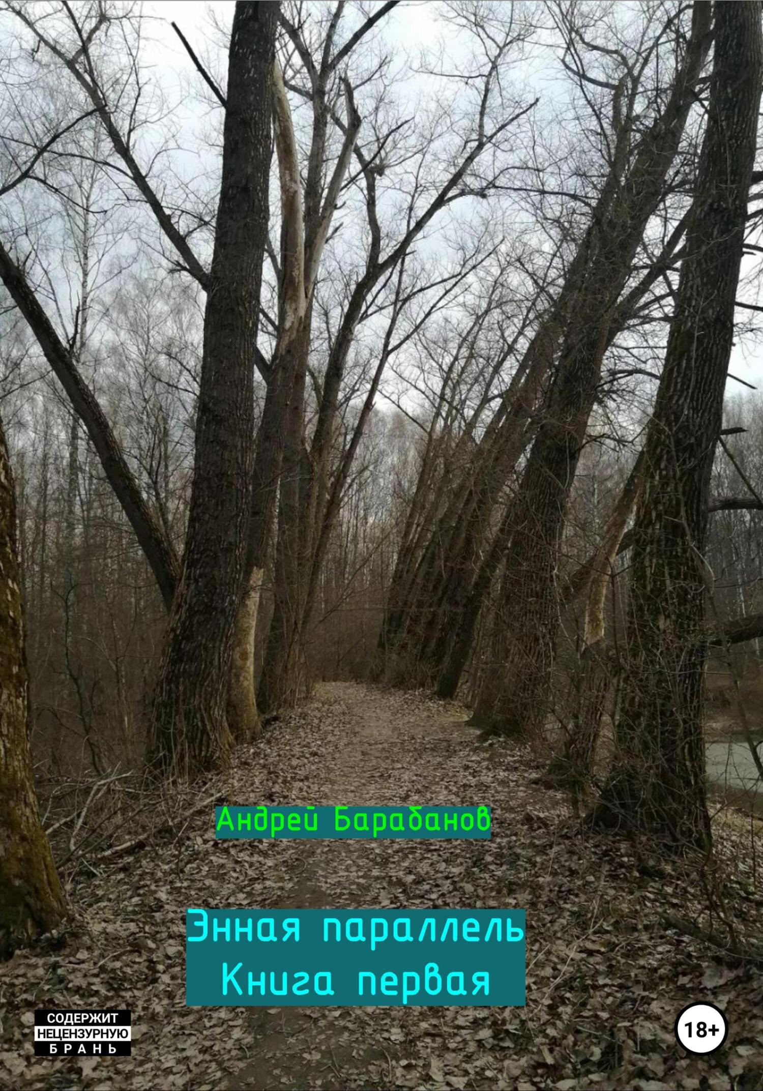 читать Энная параллель