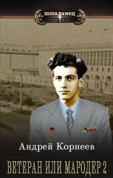 читать Ветеран или Мародер 2
