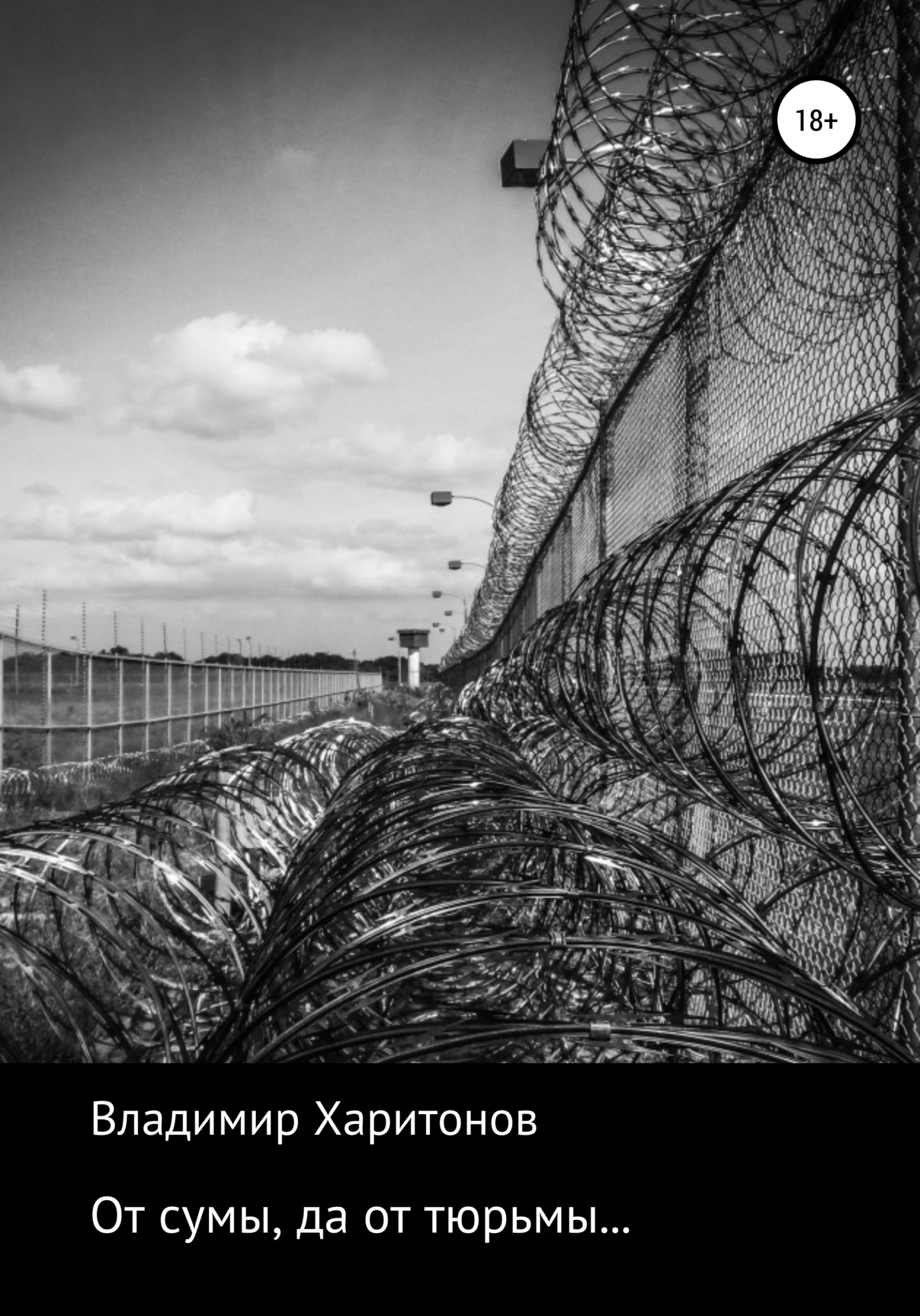 читать От сумы, да от тюрьмы…