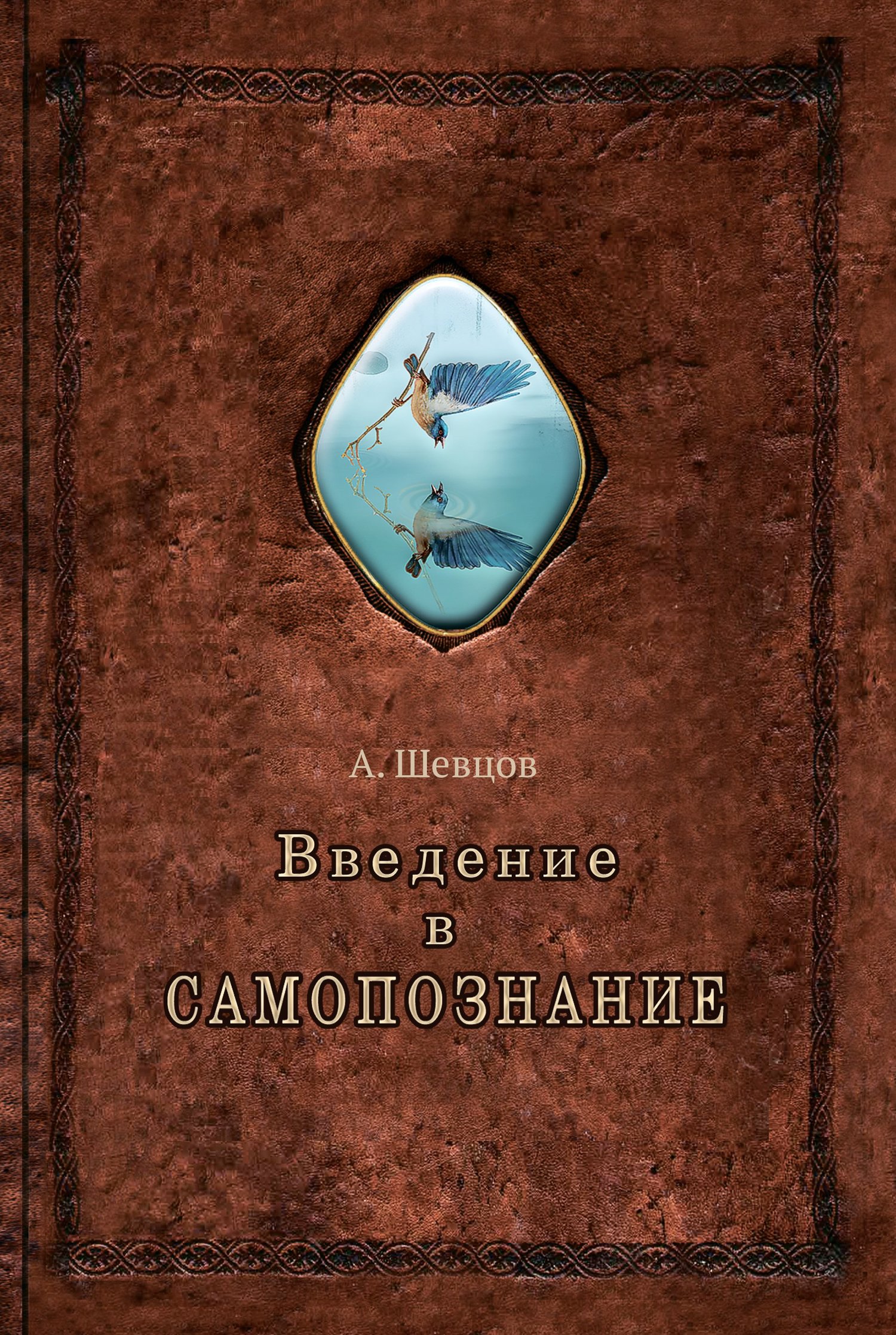 читать Введение в самопознание