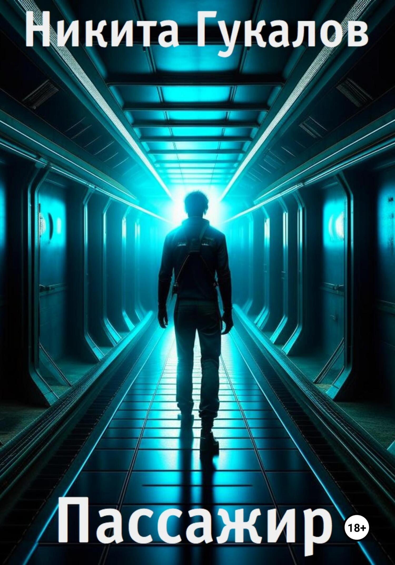 читать Пассажир