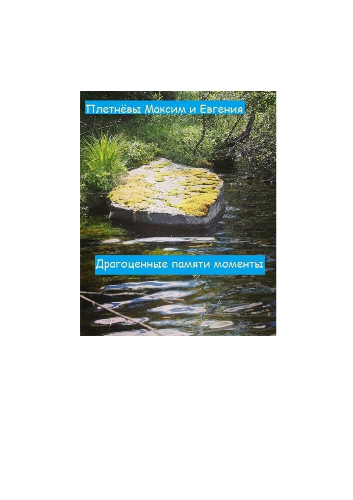 читать Драгоценные памяти моменты