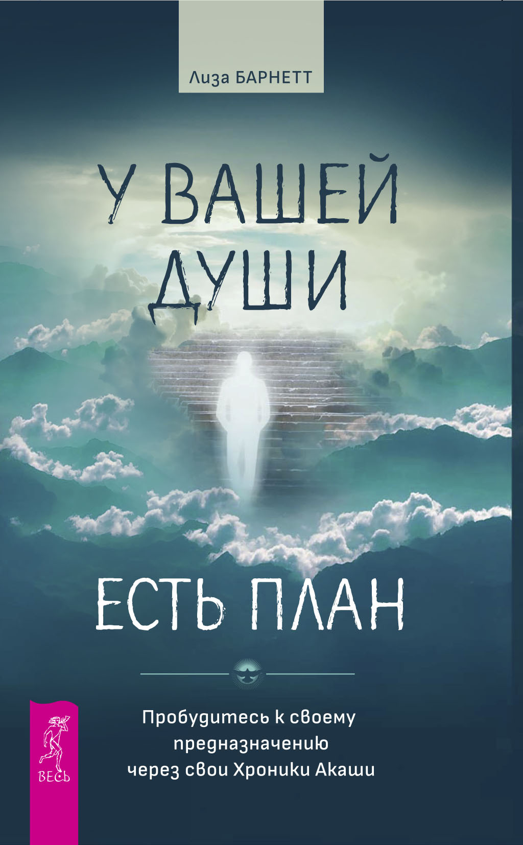 читать У вашей души есть план. Пробудитесь к своему предназначению через свои Хроники Акаши