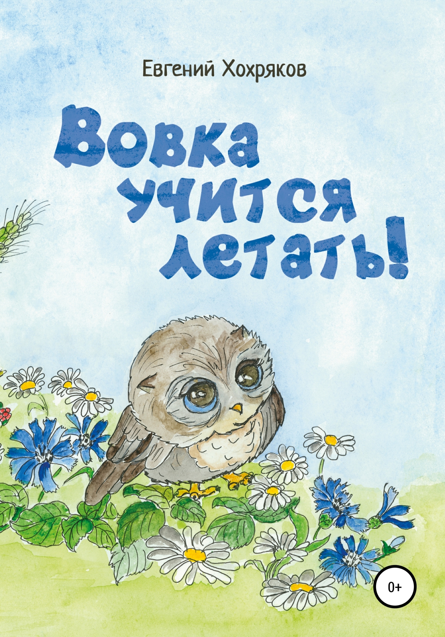 читать Вовка учится летать!