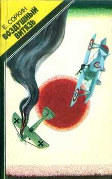 читать Воздушный витязь