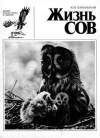 читать Жизнь сов