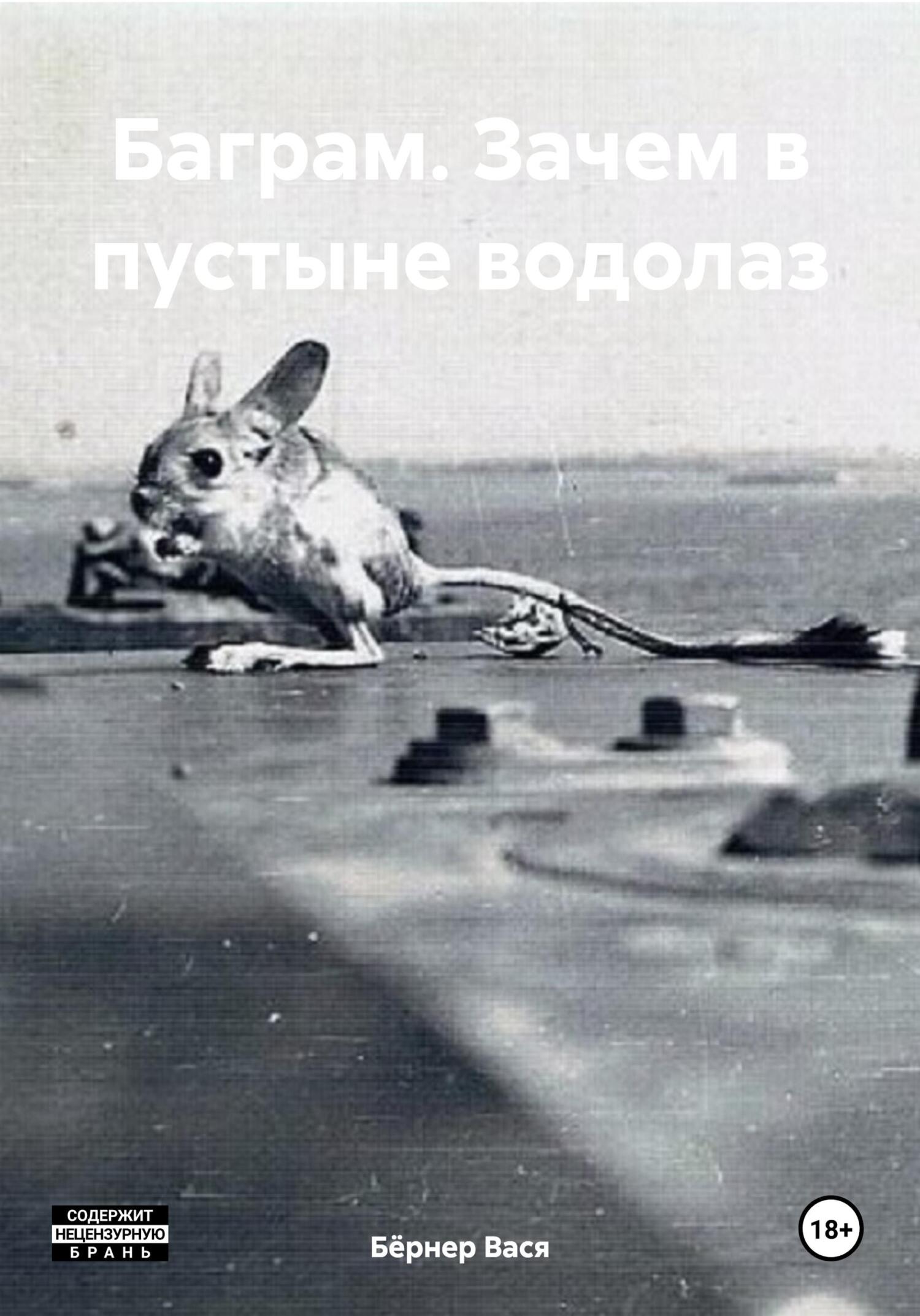 читать Баграм. Зачем в пустыне водолаз