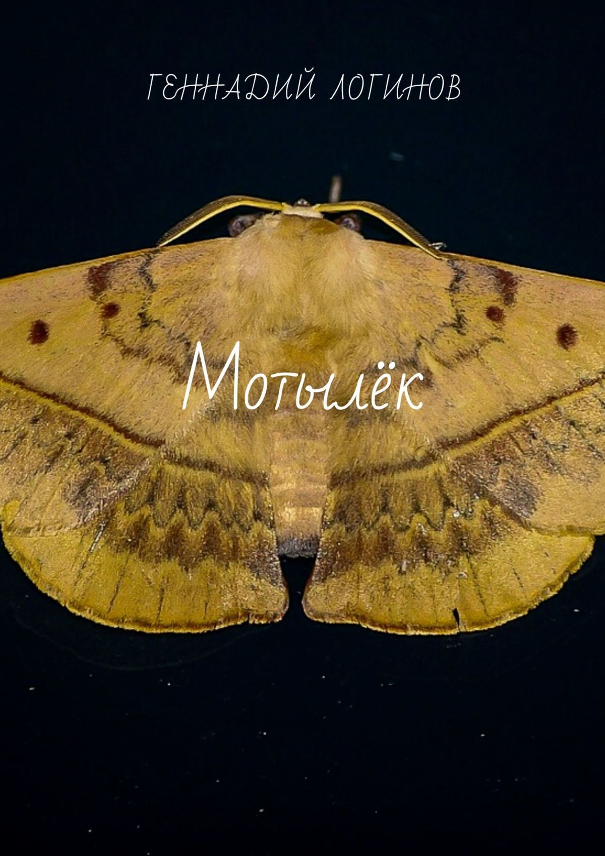 читать Мотылёк