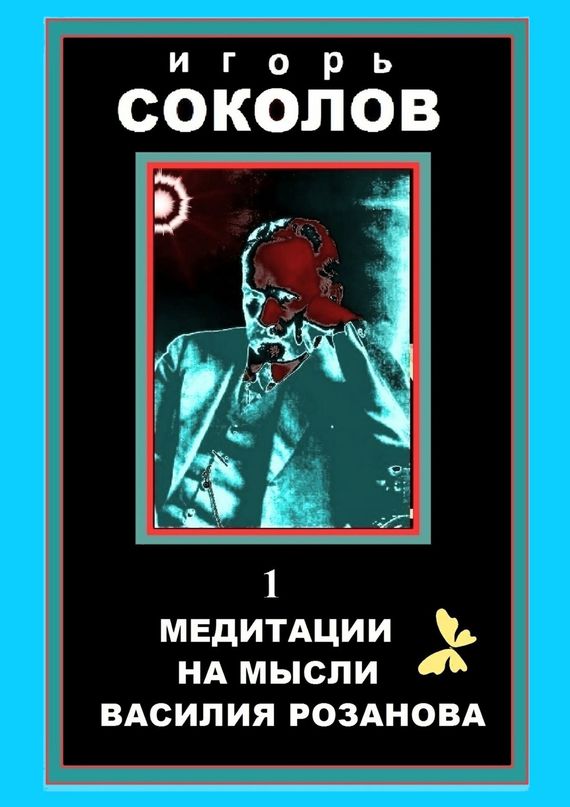 читать Медитации на мысли Василия Розанова. Том 1