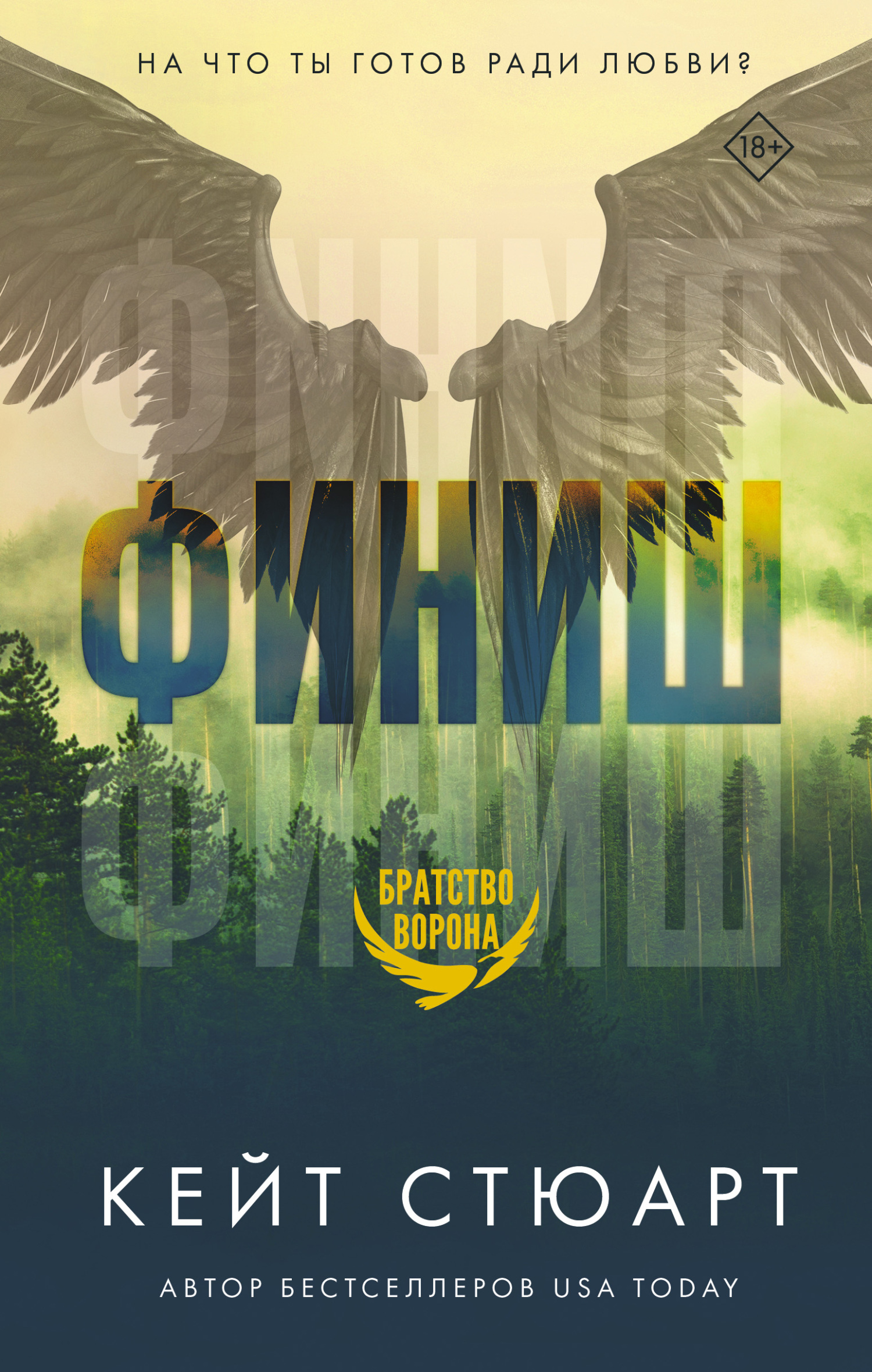 читать Финиш