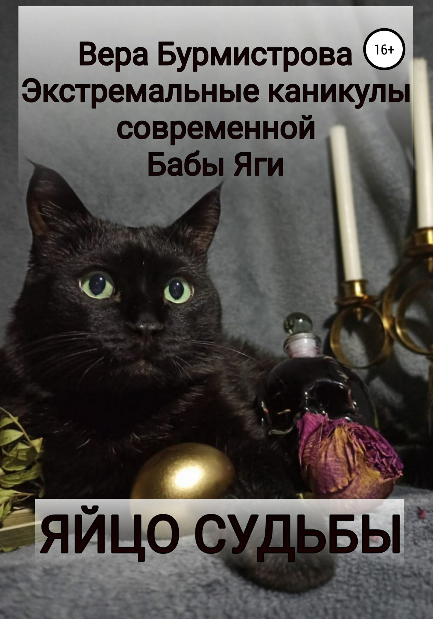 читать ЯЙЦО СУДЬБЫ. Экстремальные каникулы современной Бабы Яги