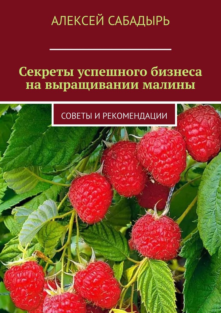 читать Секреты успешного бизнеса на выращивании малины. Советы и рекомендации