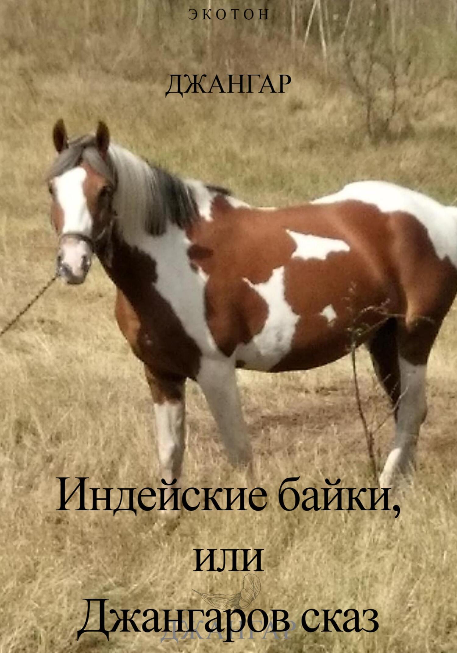 читать Индейские байки, или Джангаров сказ!