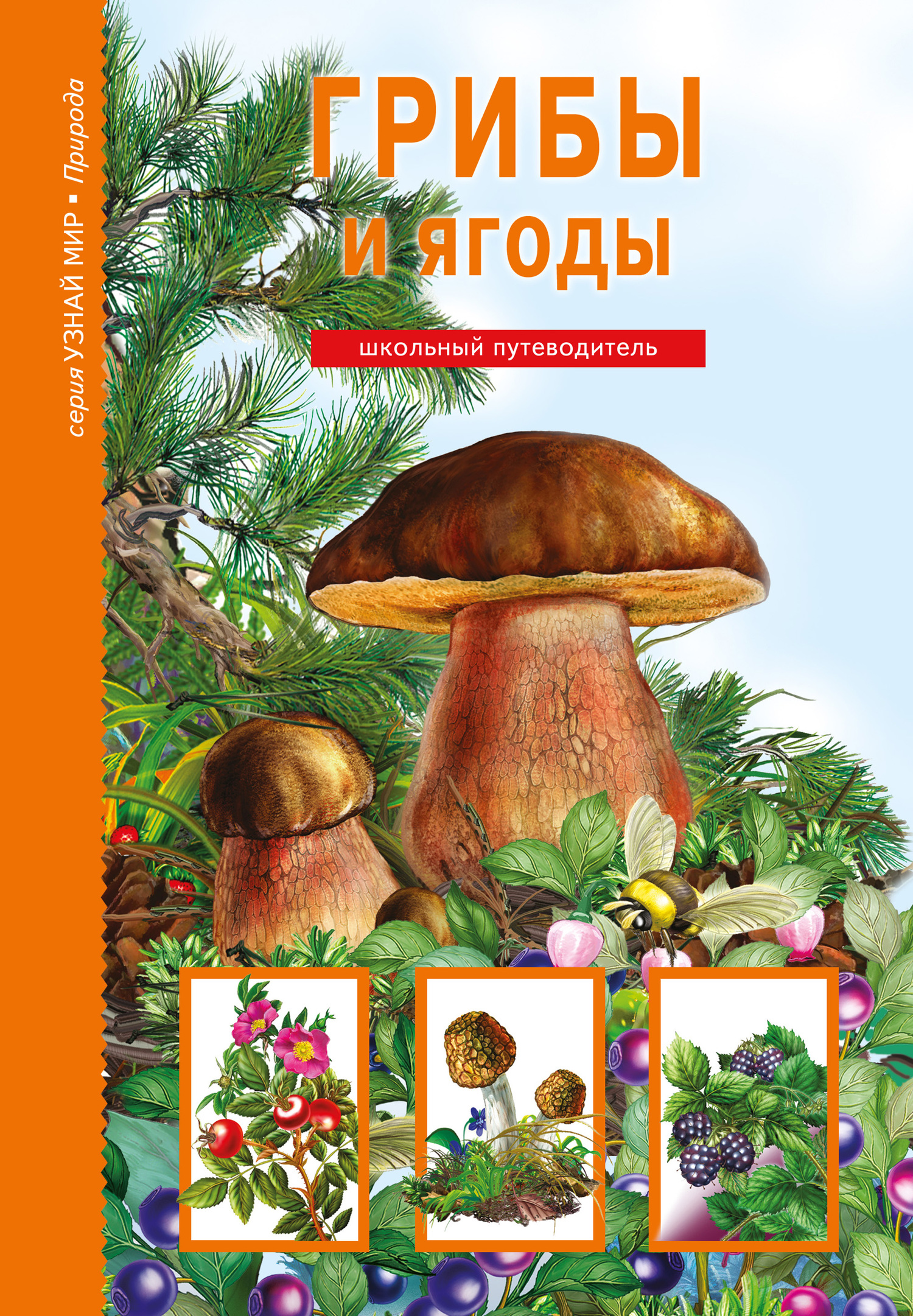 читать Грибы и ягоды