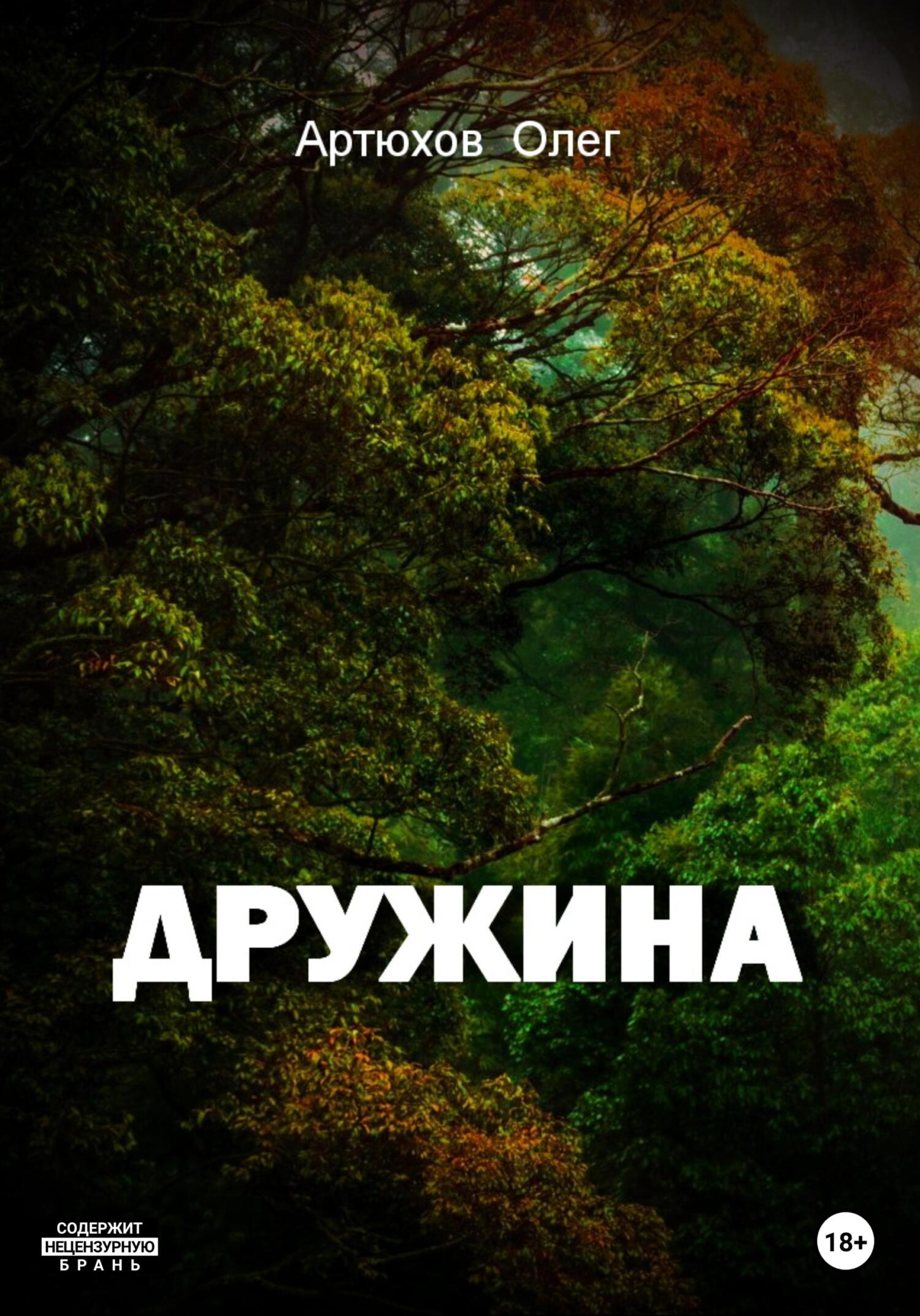 читать Дружина