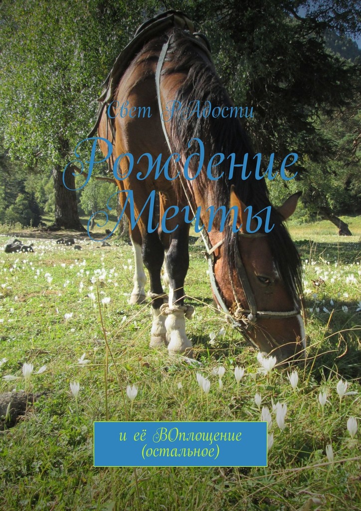 читать Рождение мечты. И её воплощение (остальное)