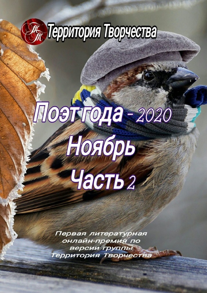 читать Поэт года – 2020. Ноябрь. Часть 2. Первая литературная онлайн-премия по версии группы Территория Творчества